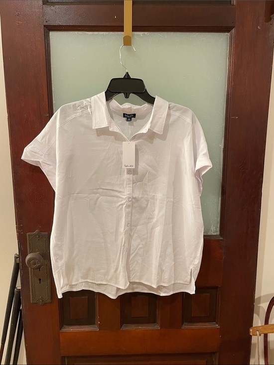 Splendid Tops - Splendid White Collared Button-Front Shirt